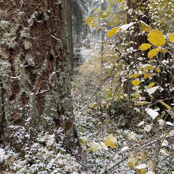 Meet your Posher, Kris - Picture 3 of 6